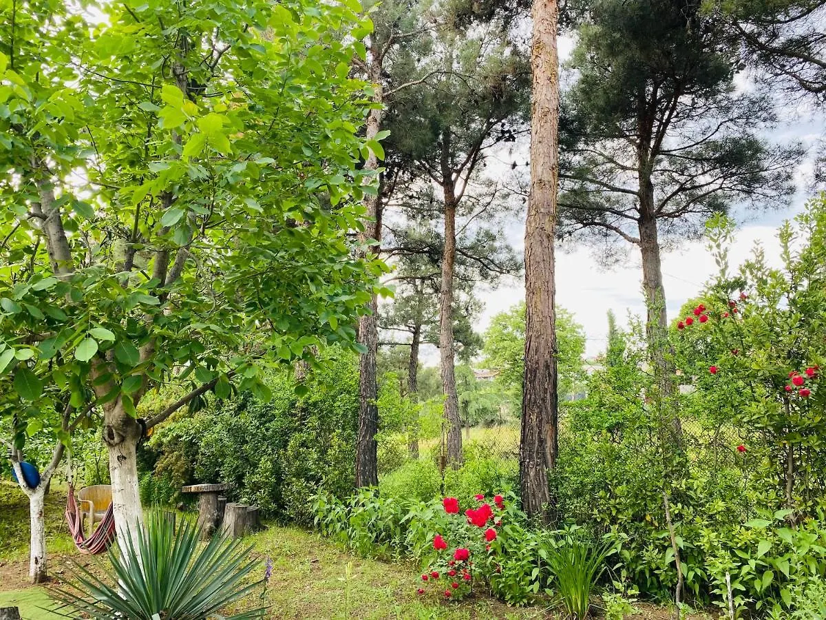 Eco Holiday House Tbilisi